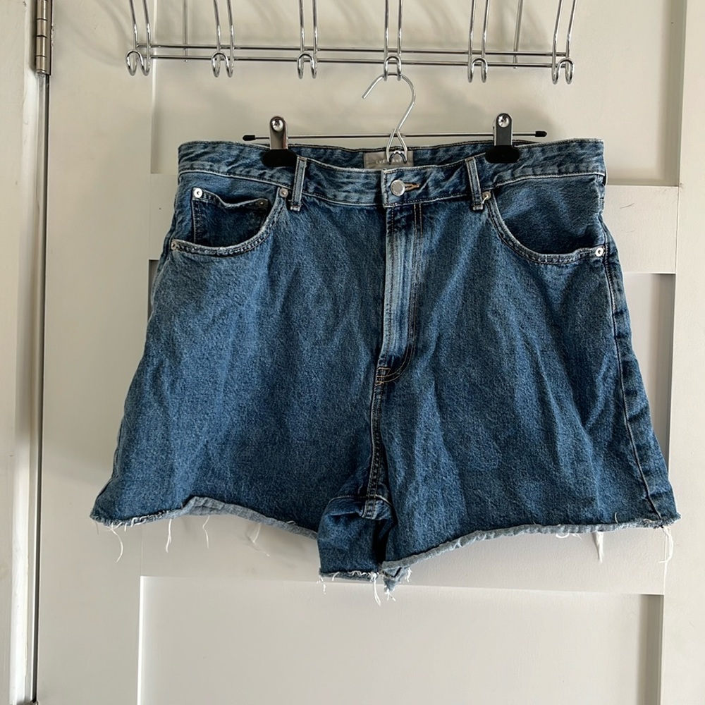 Everlane the A-line denim short